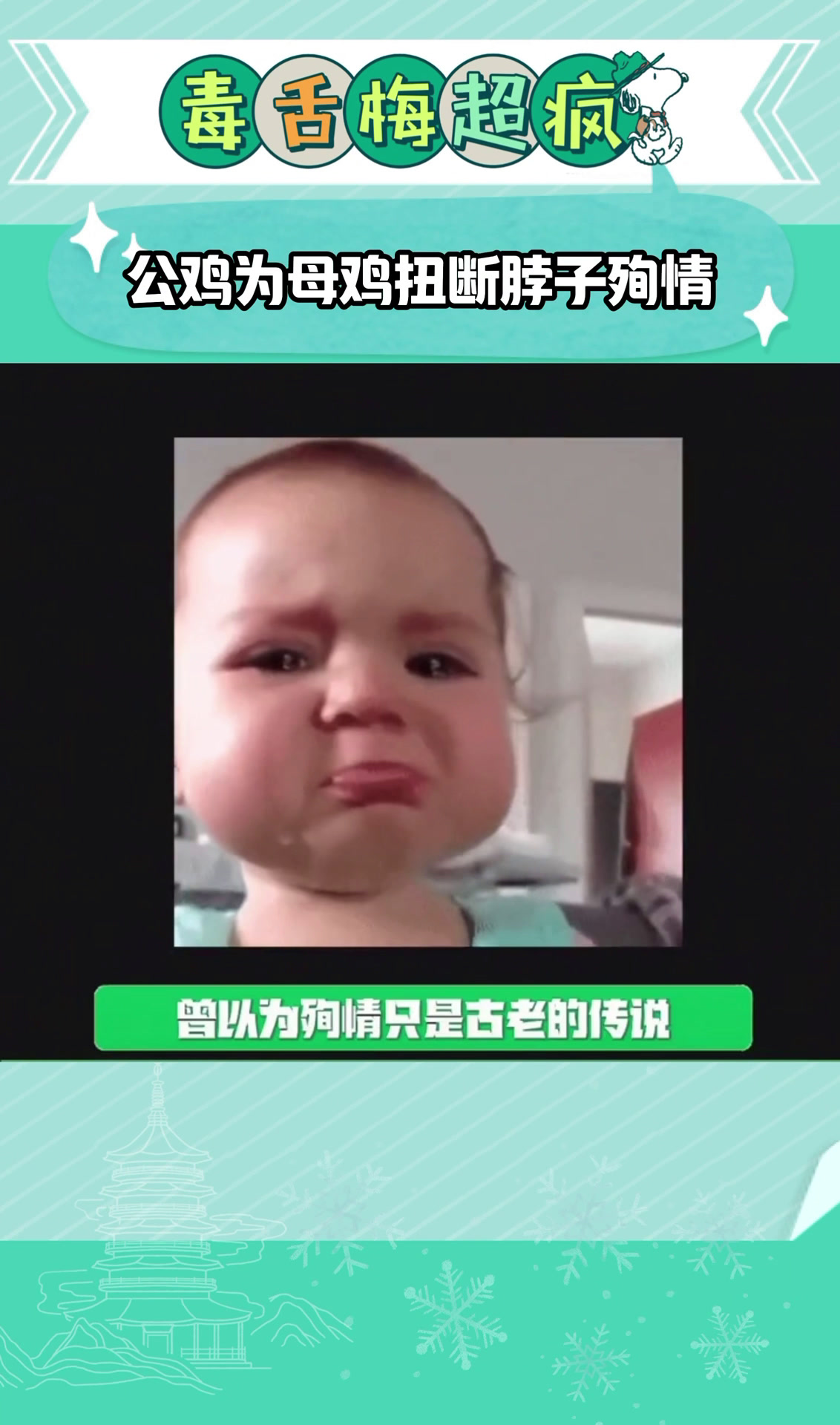 公鸡为母鸡扭断脖子殉情