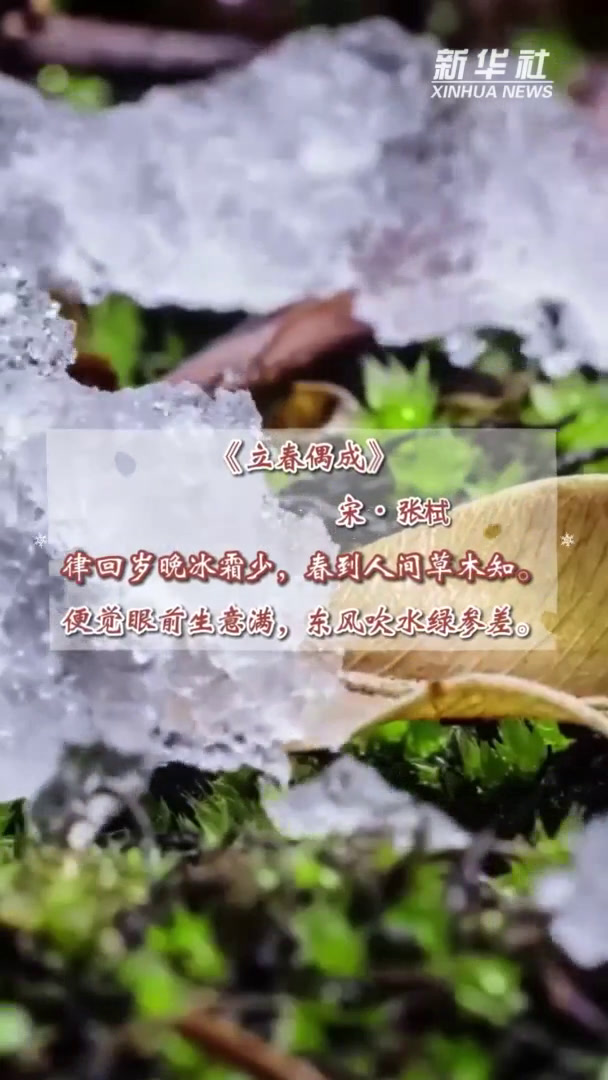 新华全媒+丨立春:春到人间草木知
