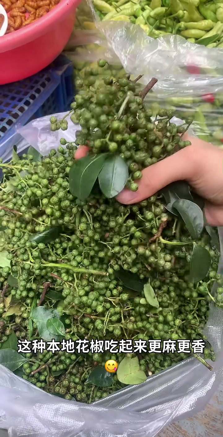 云南山毛野菜,这些你们认识几种呢?