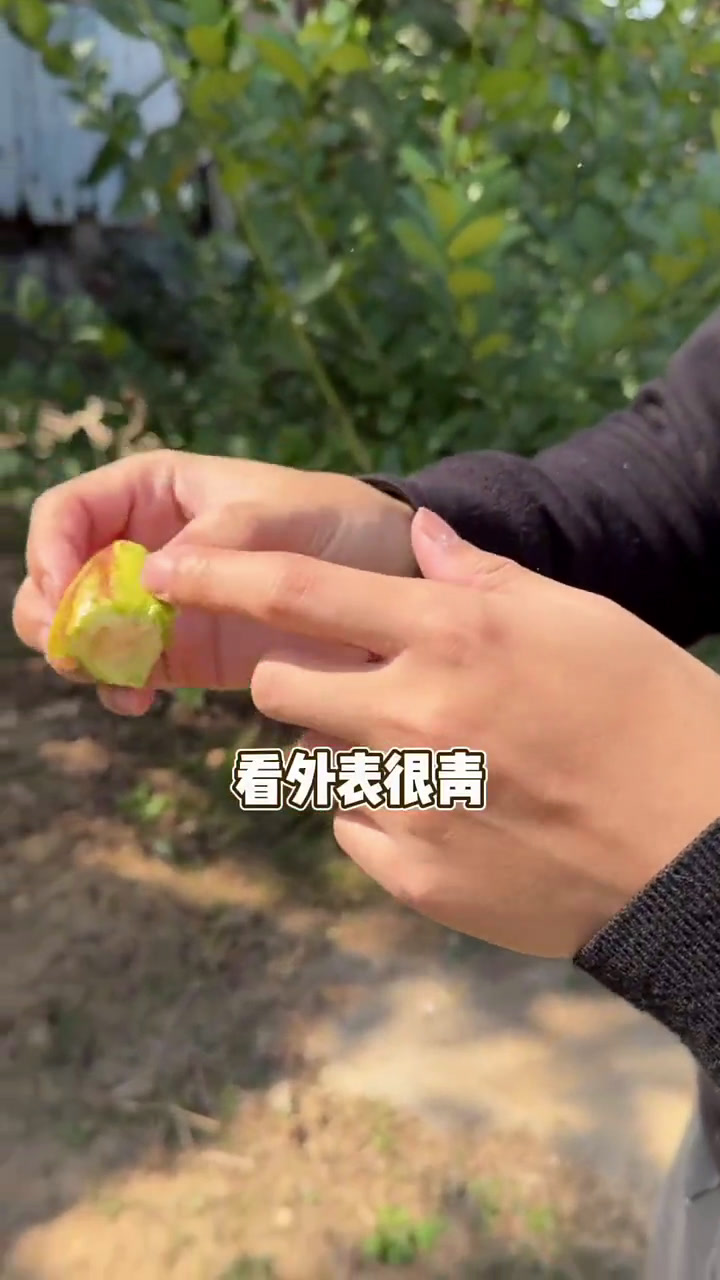 这间农庄有点偏僻但胜在有得玩有得食,食材非常新鲜