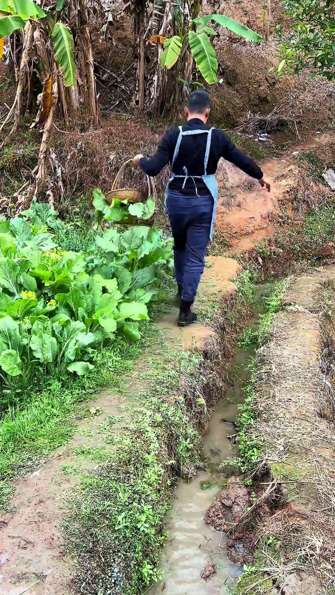 塘角鱼粥 大年初五立春,天气冷,来上一碗滚烫的塘角鱼粥暖暖身