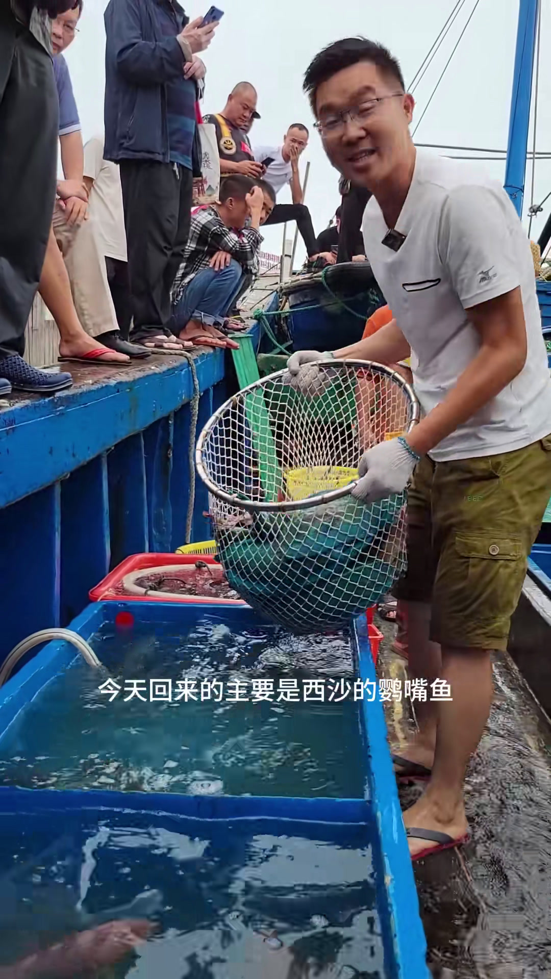 西沙珊瑚鱼的颜值课代表,鹦嘴鱼
