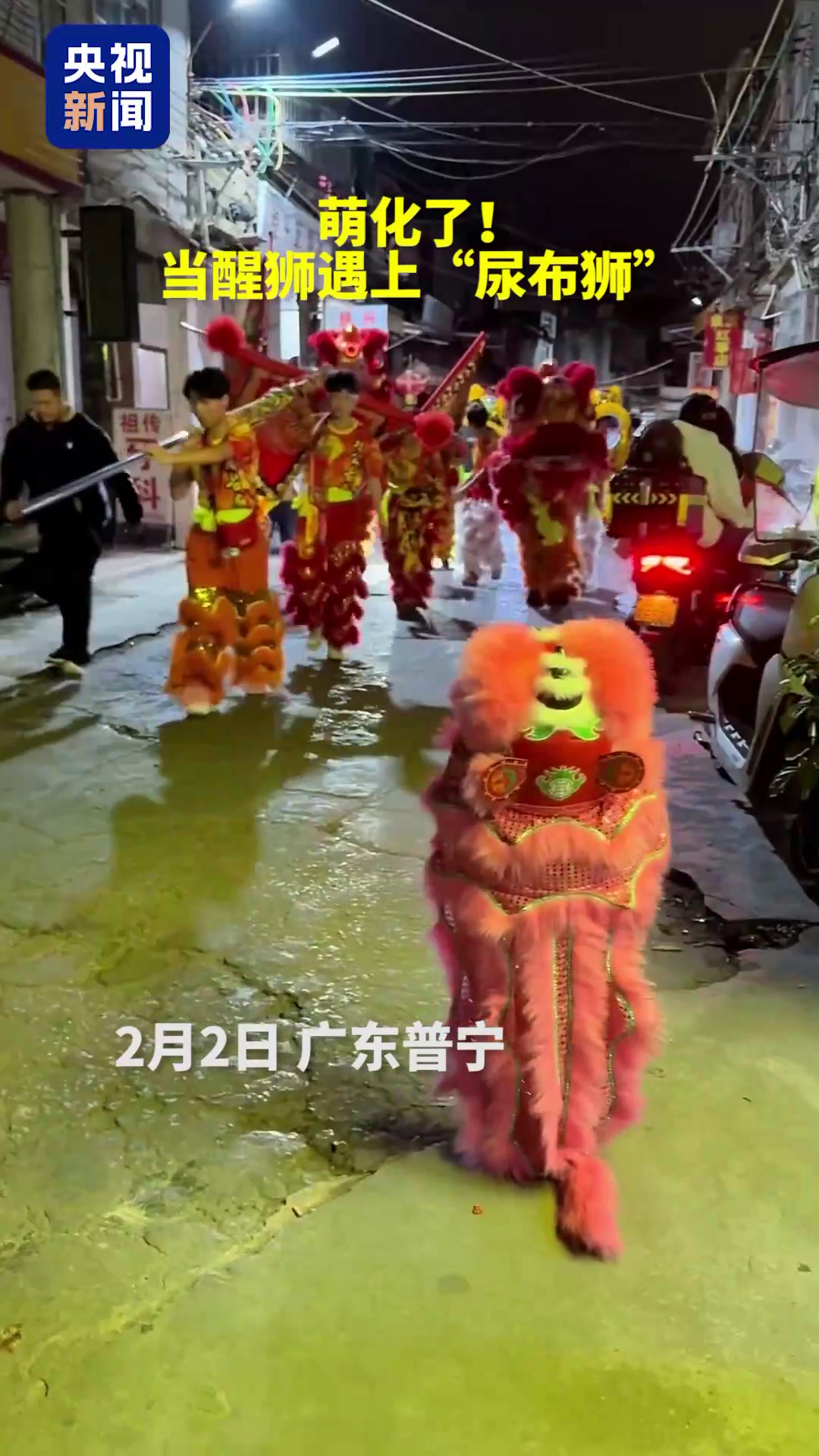 会“狮”成功!当“幼崽狮”偶遇醒狮队