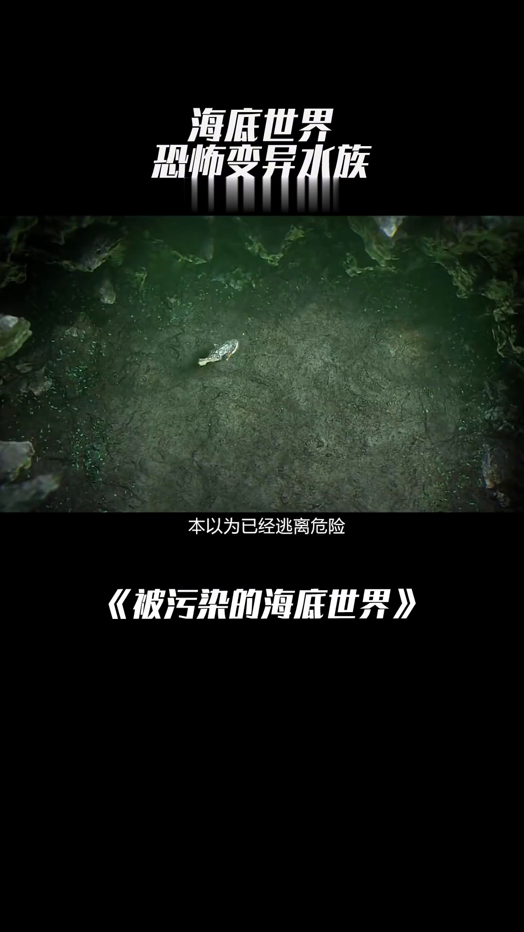 被污染的海底世界,水族与垃圾结合产生变异,变异乌贼捕食鲨鱼!