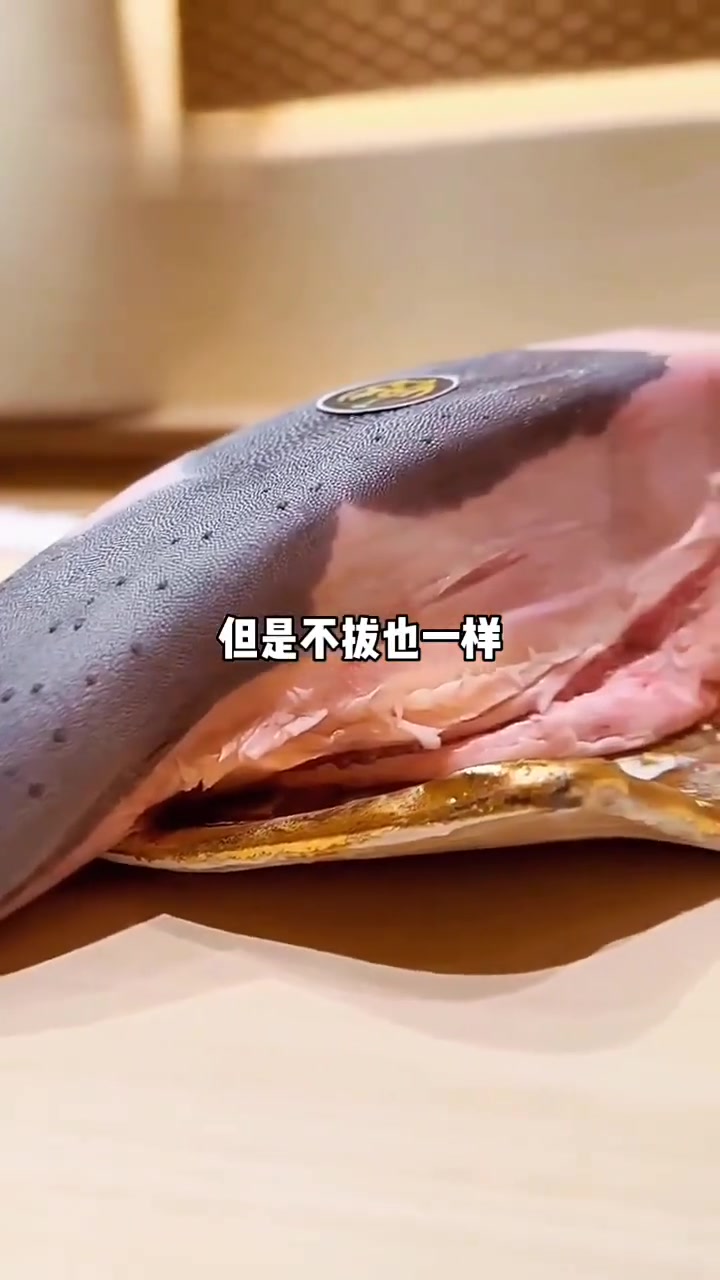 瓶邪:小哥失忆后,居然把吴邪重伤了?!