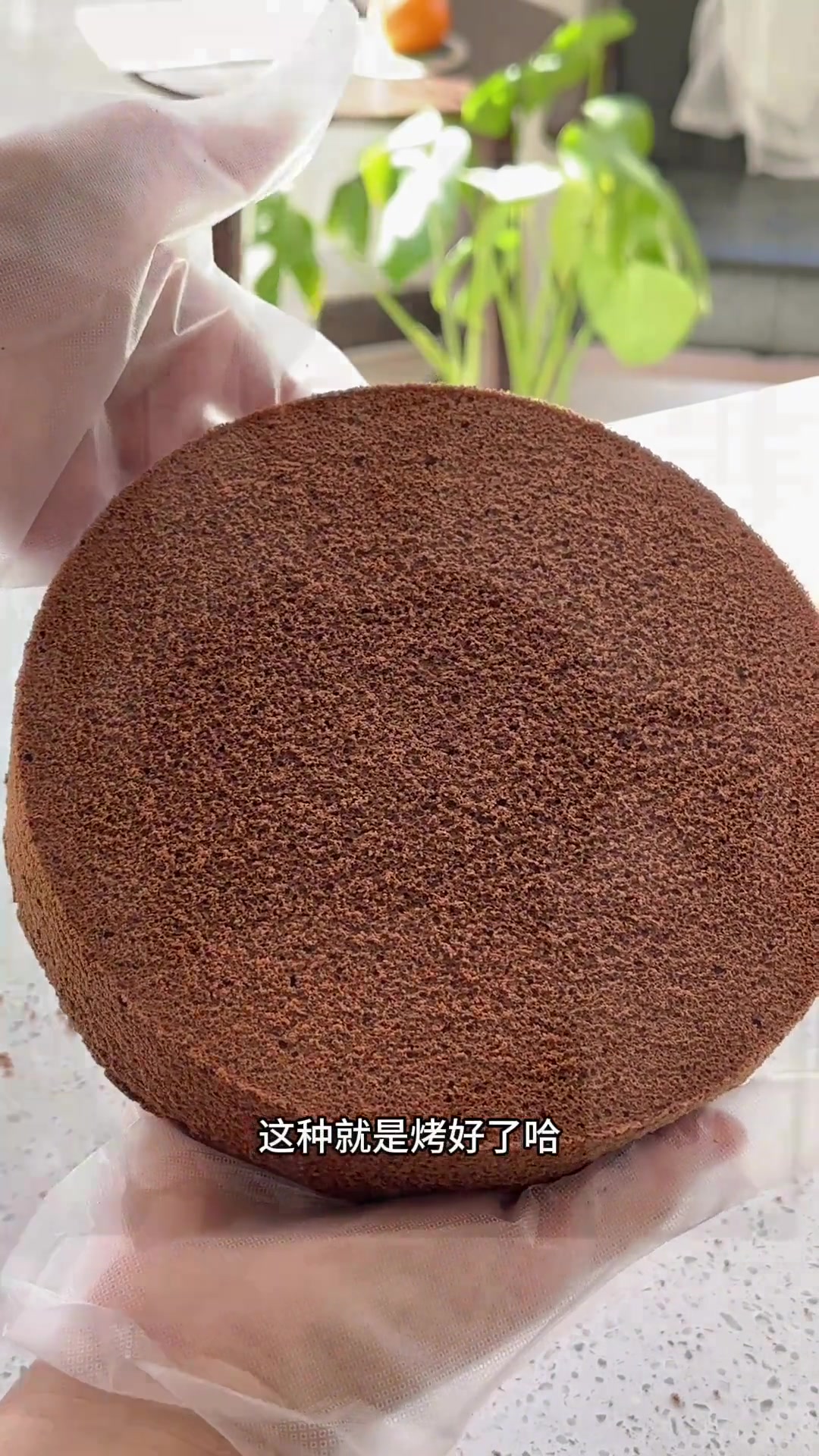 一次成功的8寸可可戚风蛋糕 详细教程在这里