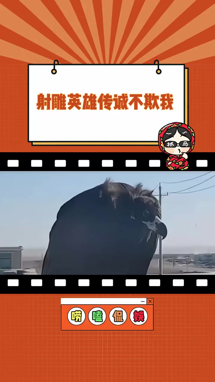 金庸:我是写实派!雕 食猴鹰 杨过的雕