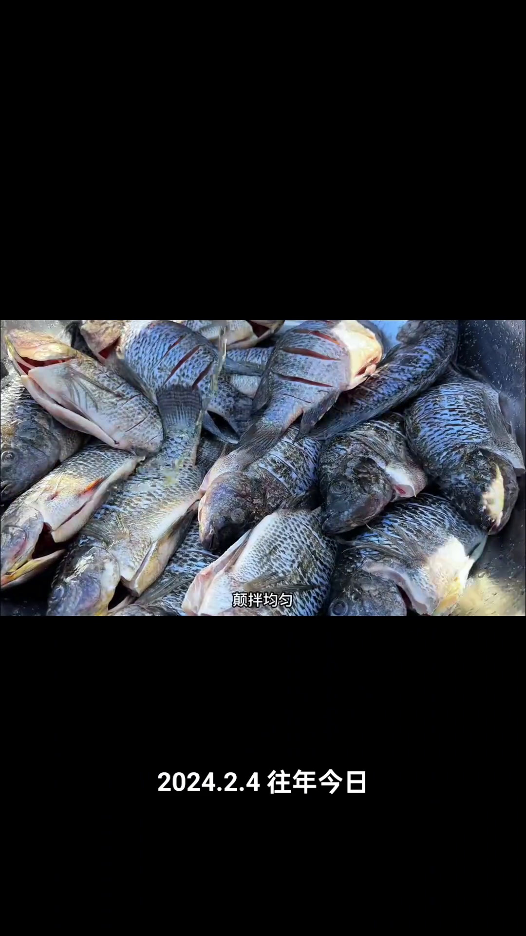 蒜蓉小米辣蒸鱼过年过节亲朋好友聚会必备