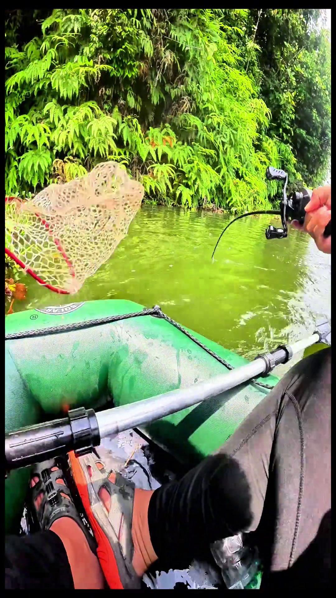 出发东南亚野钓水中老虎多曼鱼