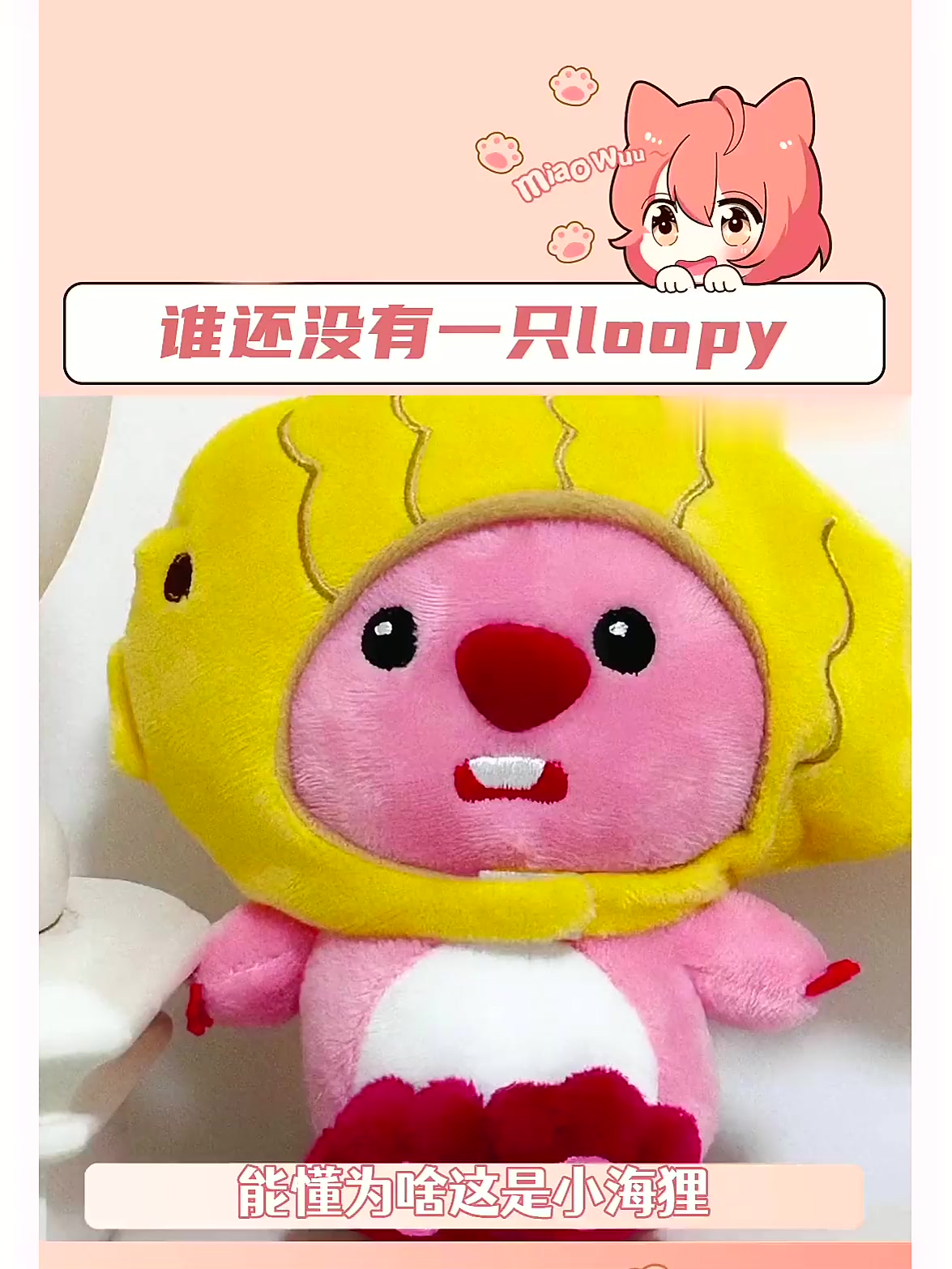 谁还没有一只小loopy啦!好可爱的鲷鱼烧小海狸!loop