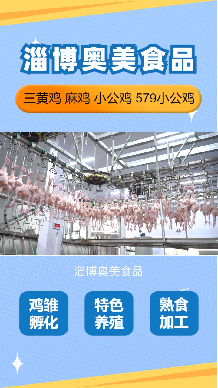 东营冷鲜579小公鸡哪家好,作为一家食品企业,淄博奥美食品有