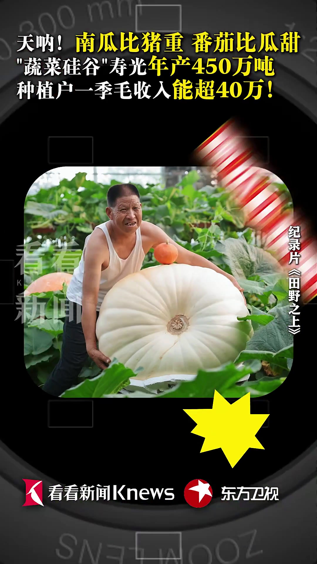 “蔬菜硅谷”寿光年产450万吨 种植户谈及收入笑了