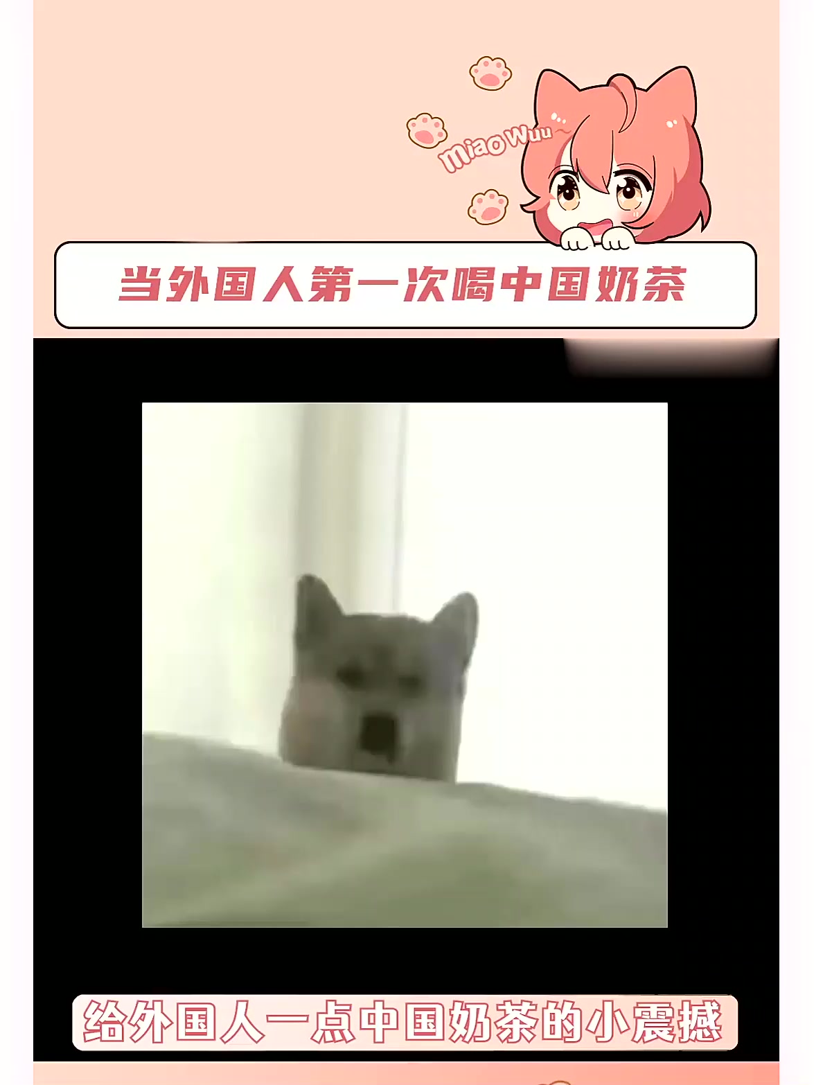 馋丫头们 咱就幸福吧,这可都是细糠咧!硬控法国人的中国奶茶