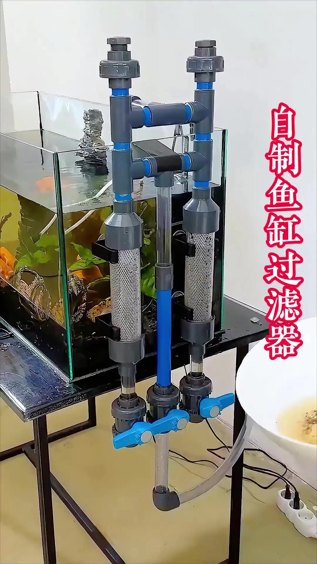 自制鱼缸过滤器!儿童创意发明制作乐园