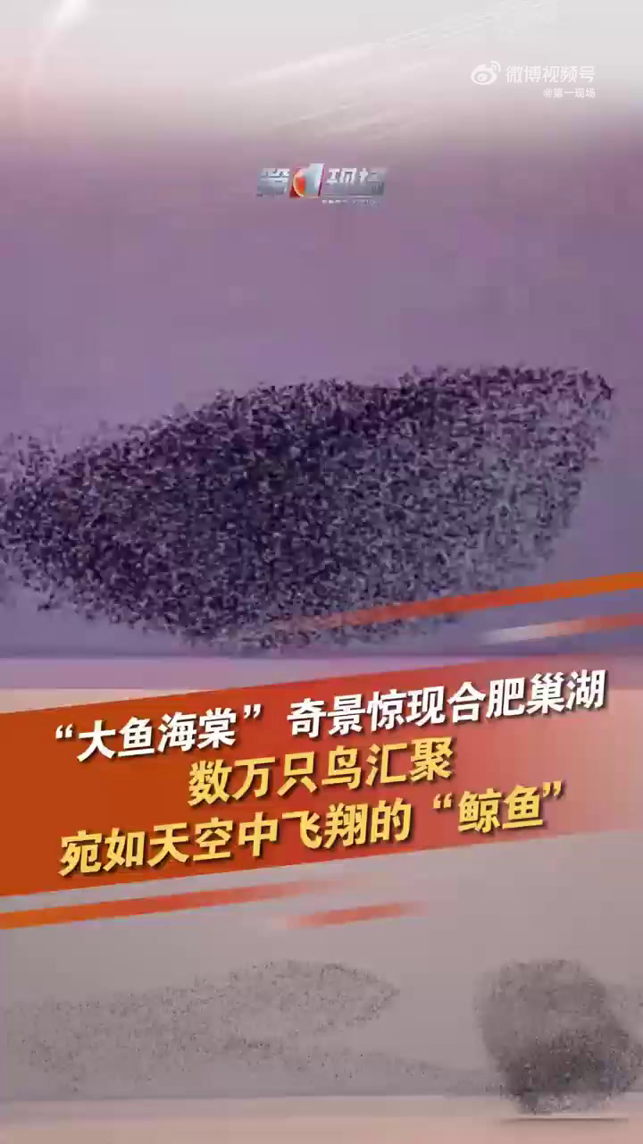「合肥上空惊现大鱼海棠奇观:绵延几公里,多达数万只」安徽巢湖惊现鸟浪宛若鲸鱼空中飞近日,合