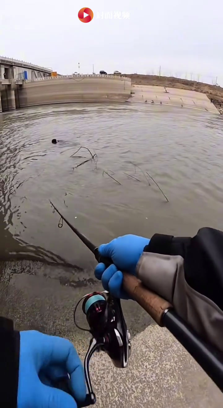 帅气！湖北“钓鱼侠”抛竿救人 众人合力成功“钓”起落水男子｜看见正能量