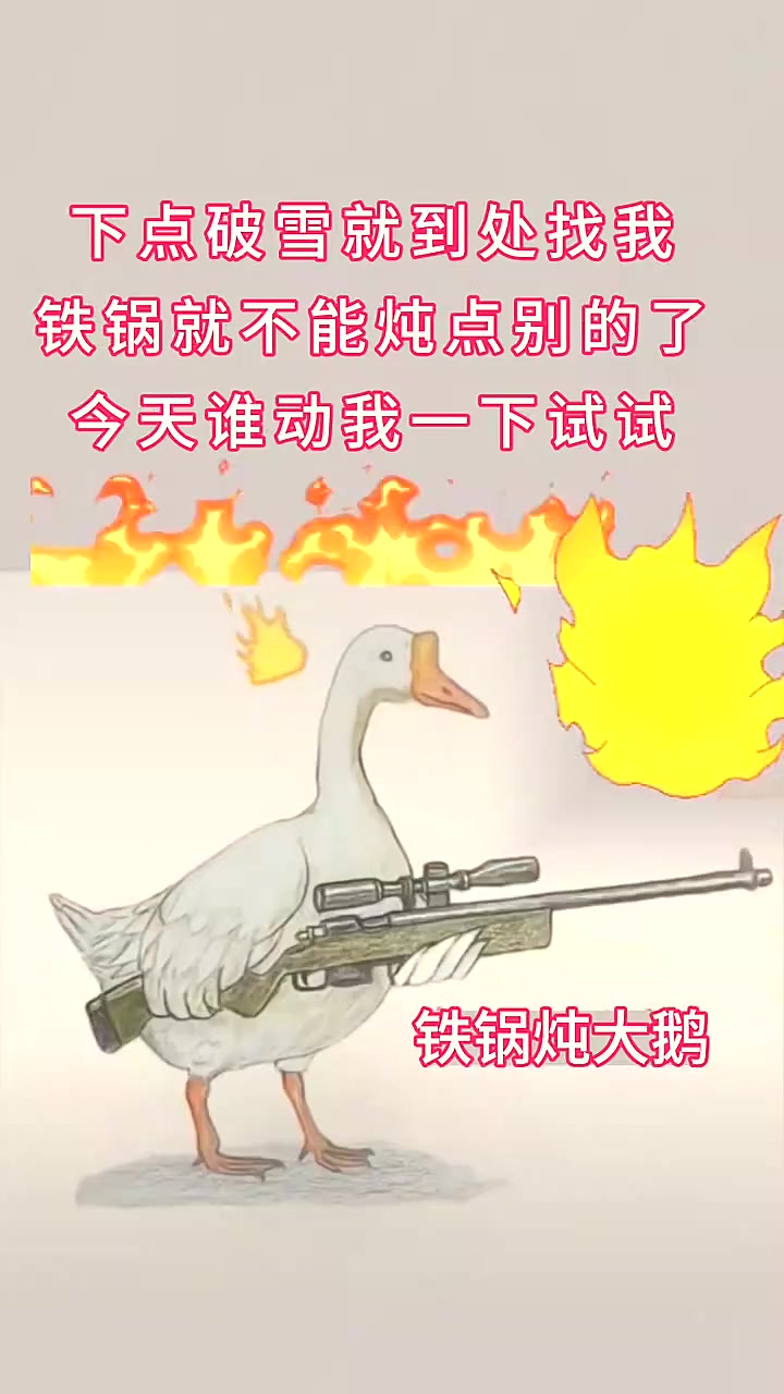 搞笑瞬间,东北铁锅炖大鹅