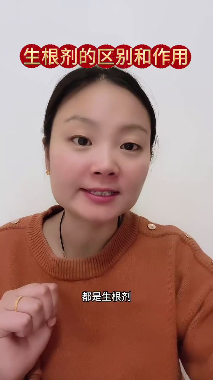 都是生根剂,它们有什么区别呢