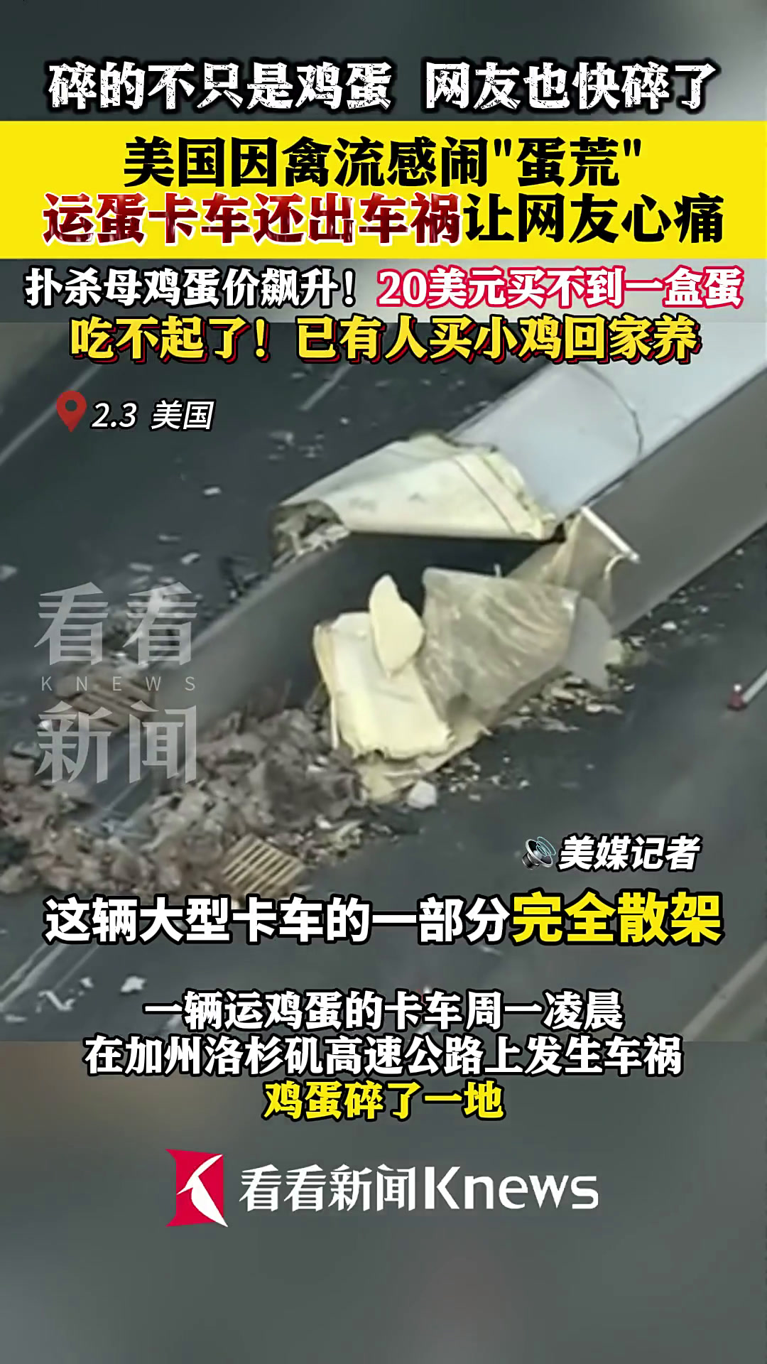 美国闹“蛋荒” 运蛋车还出车祸 网友快碎了……