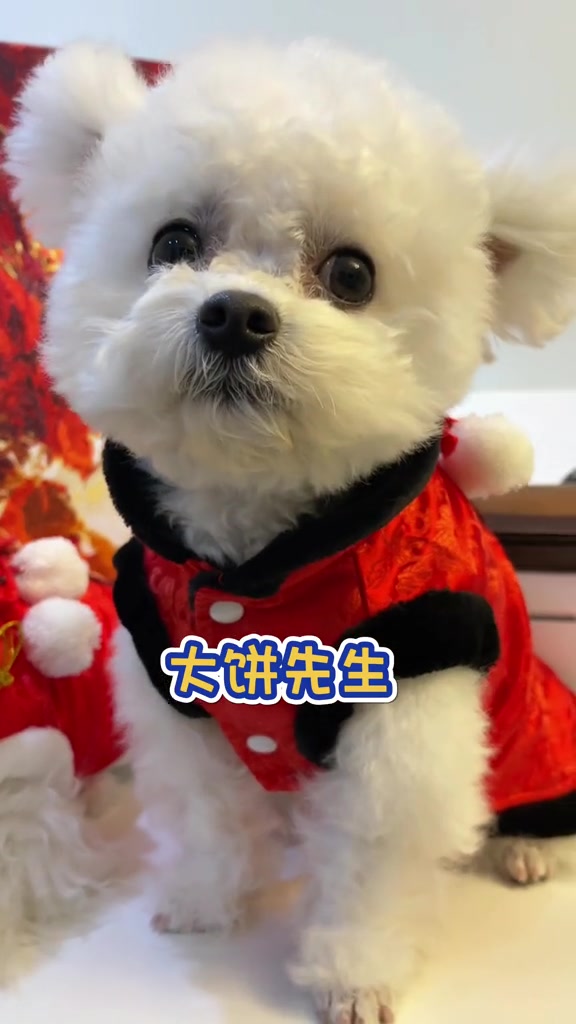 大饼油条豆浆给姨姨姨夫哥哥姐姐们拜年啦!