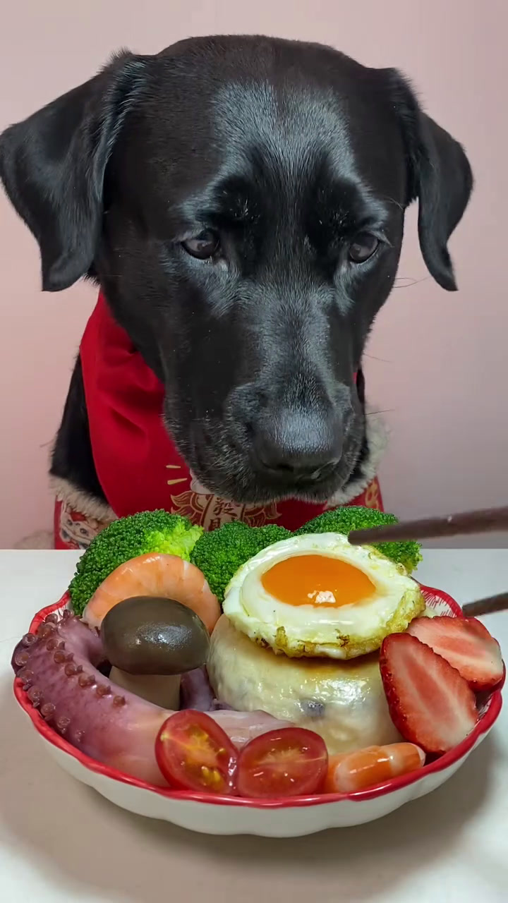 这么大的章鱼须一口就没啦?