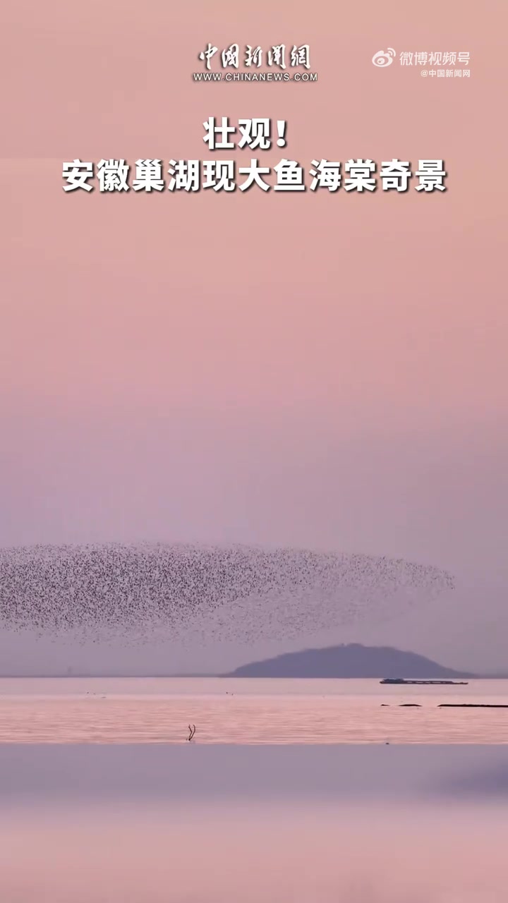 「壮观!安徽巢湖现大鱼海棠奇景」近日,在位于安徽合肥的巢湖上空,出现绵延几公里的花脸鸭“鸟