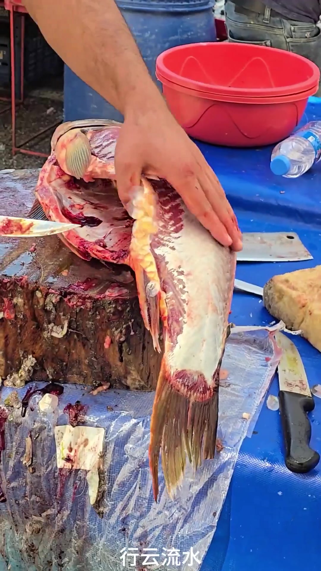 你知道伊朗人是怎么杀鱼的吗?真的是开眼界了,手法比印度人还溜