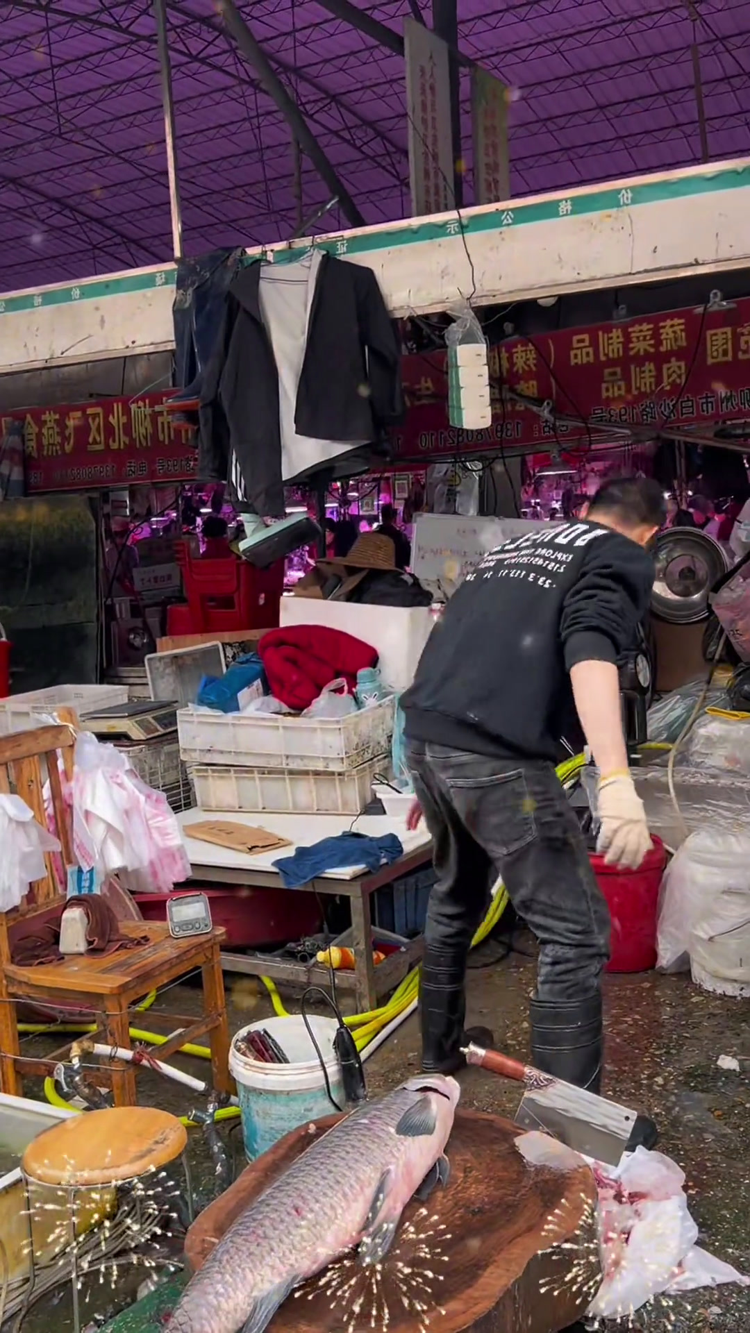 收了小伙一条大青鱼,里面的青鱼石价比黄金