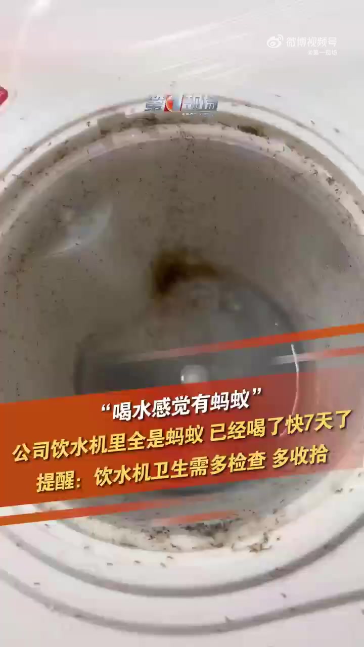 「头皮发麻!上班7天喝的都是蚂蚁泡澡水 当事人回应公司饮水机全是蚂蚁」2月9日,广东广州,