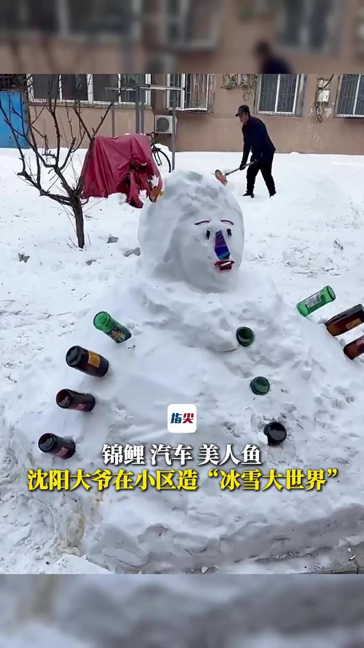 锦鲤、汽车、美人鱼……沈阳大爷在小区造“冰雪大世界”