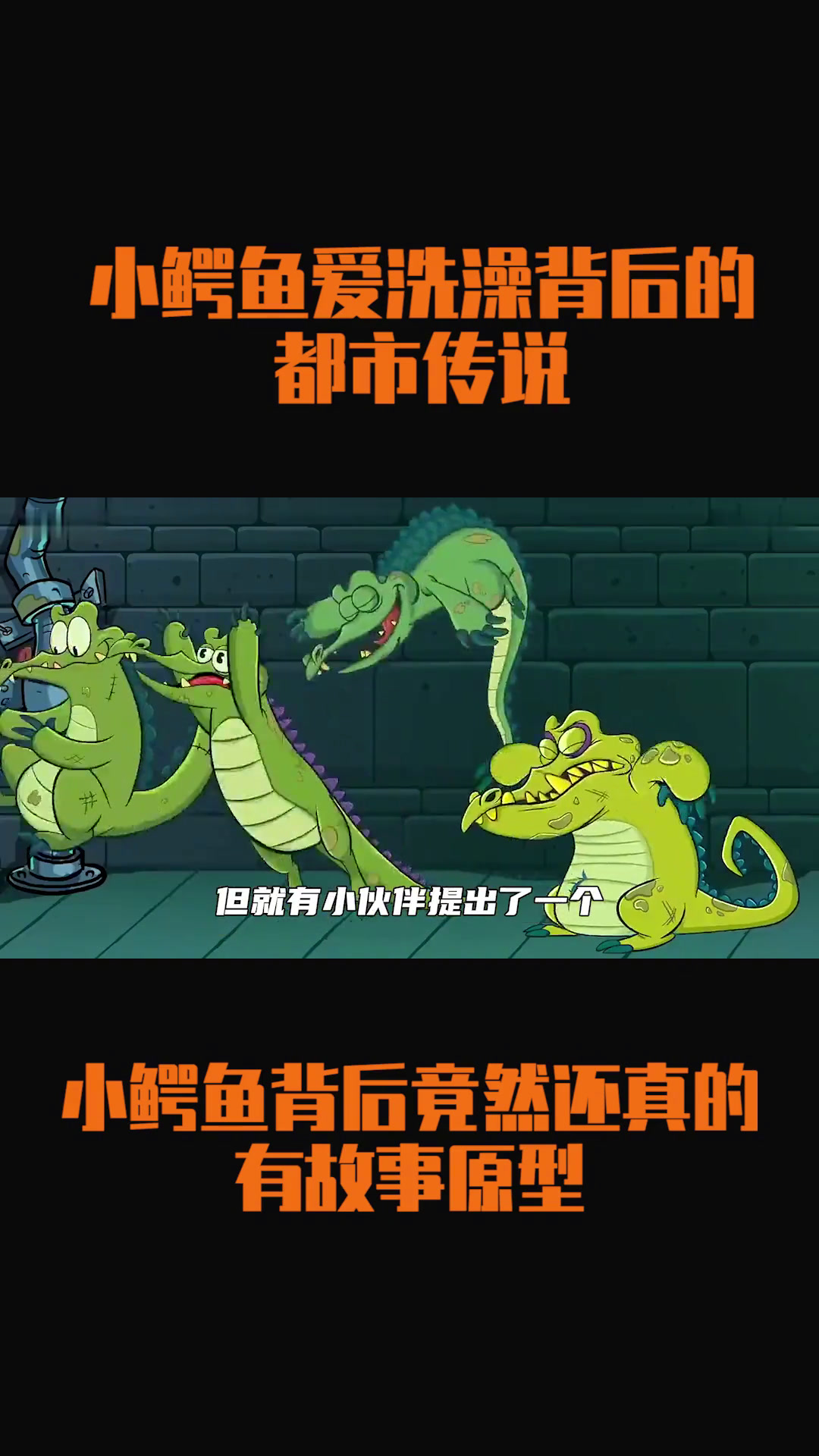 小鳄鱼爱洗澡背后还隐藏着都市传说?小鳄鱼为啥会出现在下水道