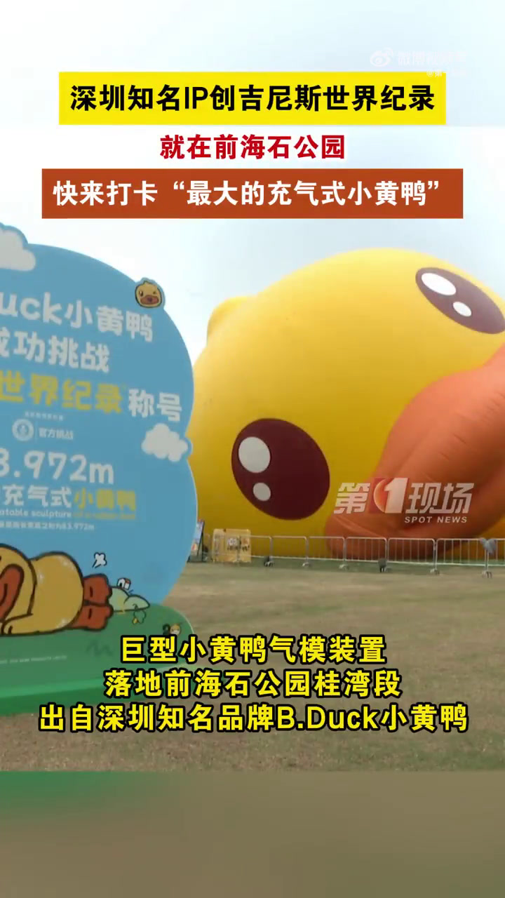 「可爱爆了!全球最大小黄鸭就在深圳「舔屏」」深圳知名IP创吉尼斯世界纪录在前海石公园桂湾段