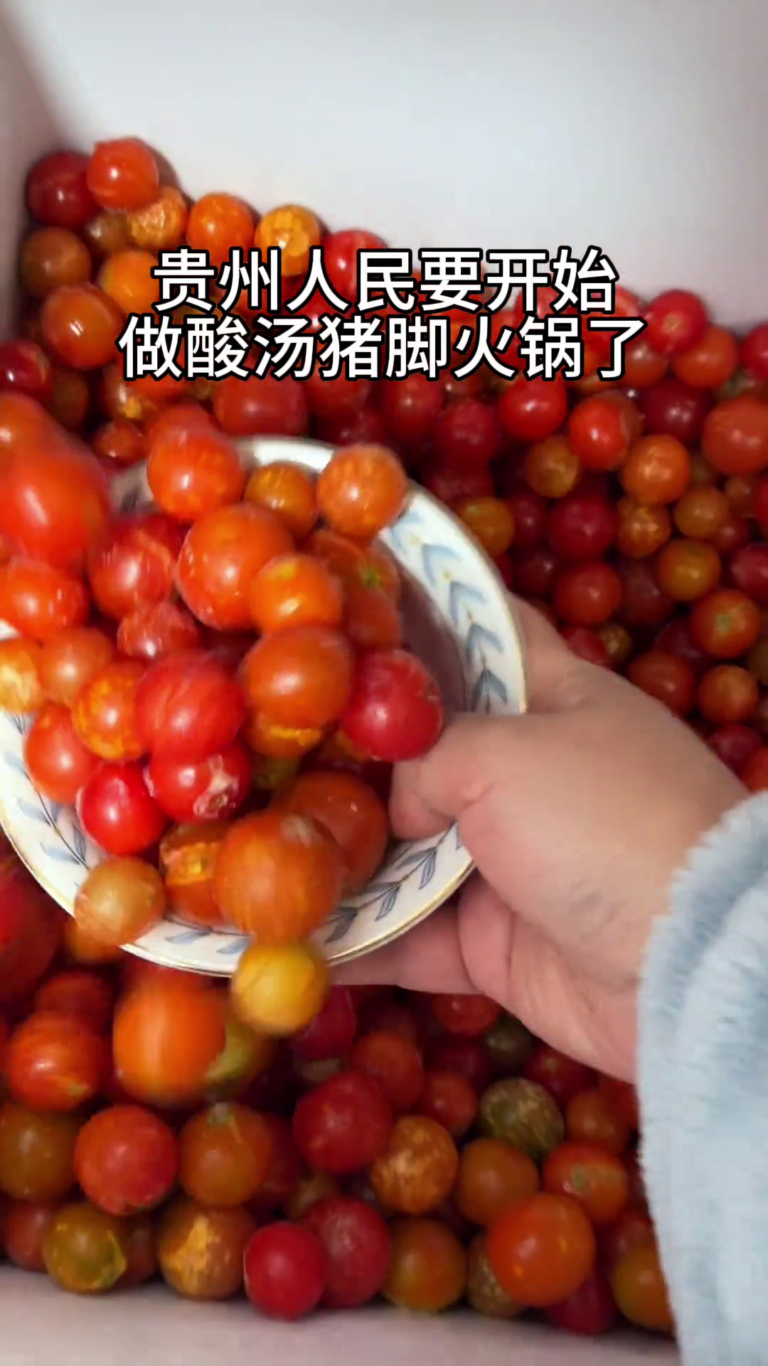 贵州的元宵节怎么能少得了一锅酸汤猪脚火锅呢