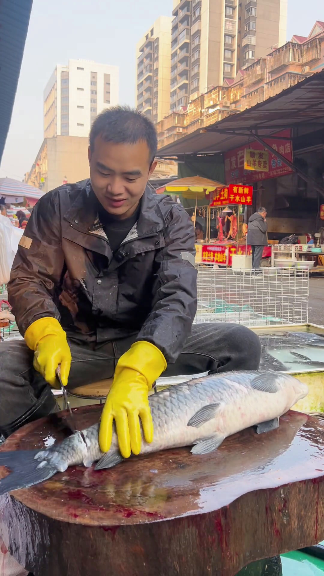 美女拿了一条大青鱼来叫我帮她取青鱼石