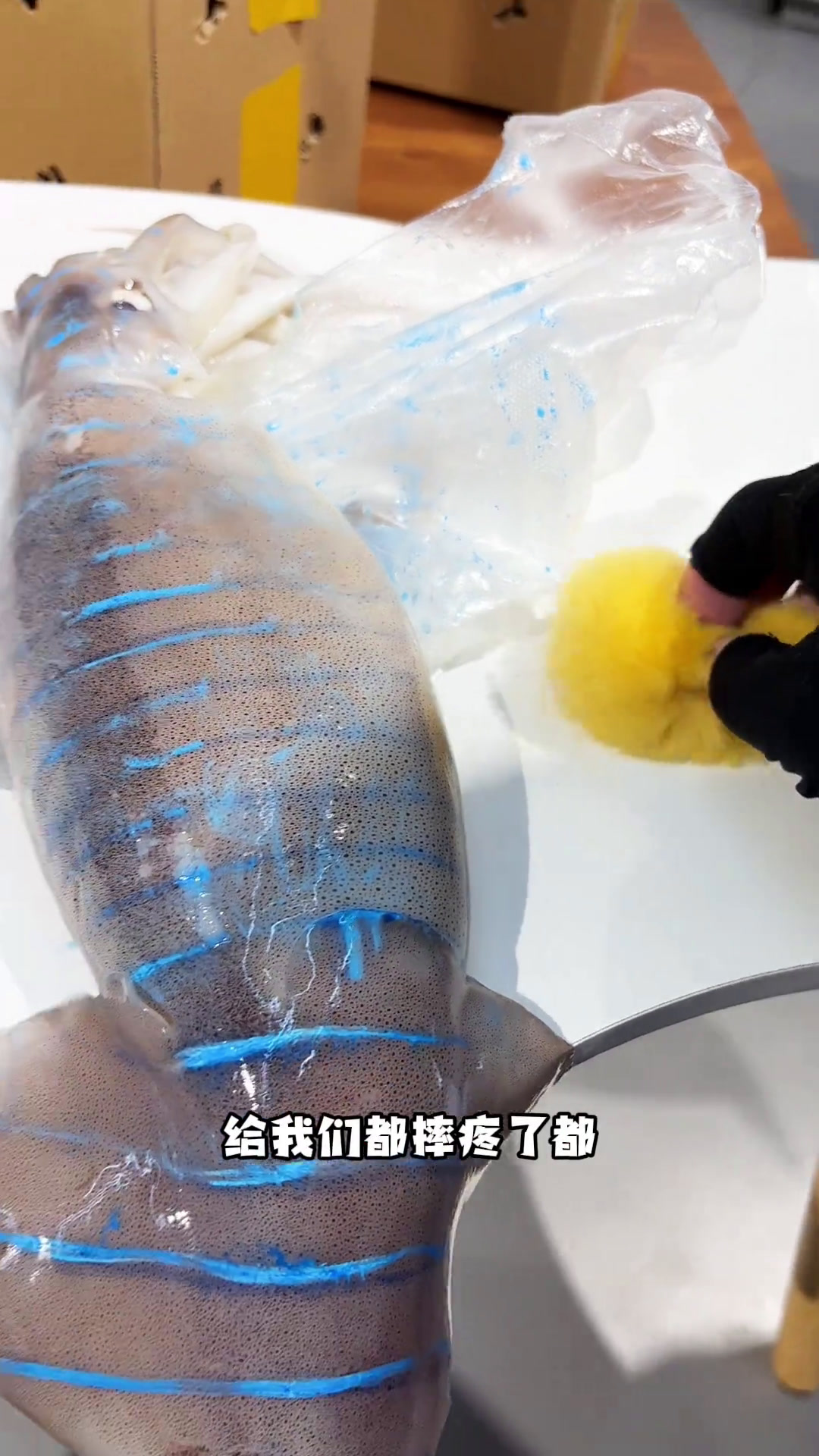 我这蓝环章鱼怎么看起来那么不正经呢