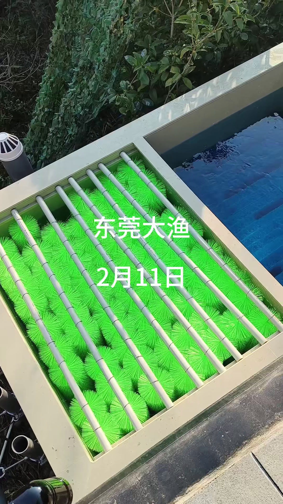 锦鲤鱼池过滤器#支持定做各种尺寸 #鱼池过滤器设备