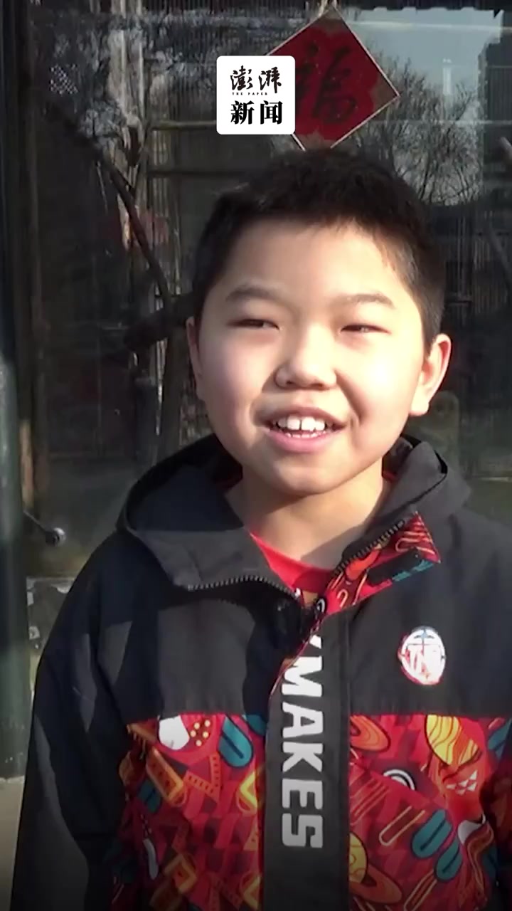 动物园为萌兽们准备特制“元宵”,小游客:它吃得好丰盛