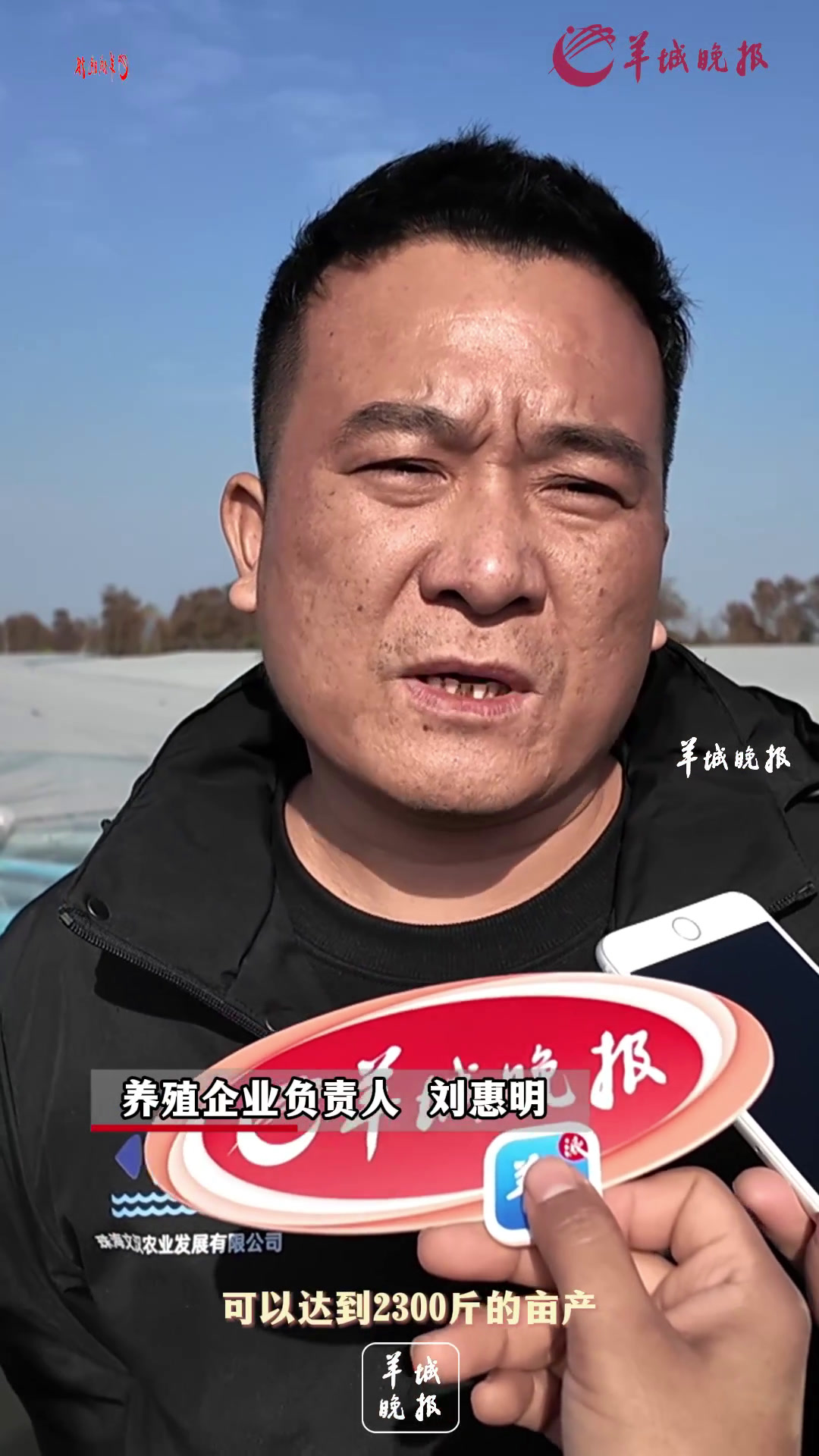 要发展也要环保,“渔草共生”生态养殖实现亩产倍增|新春走基层