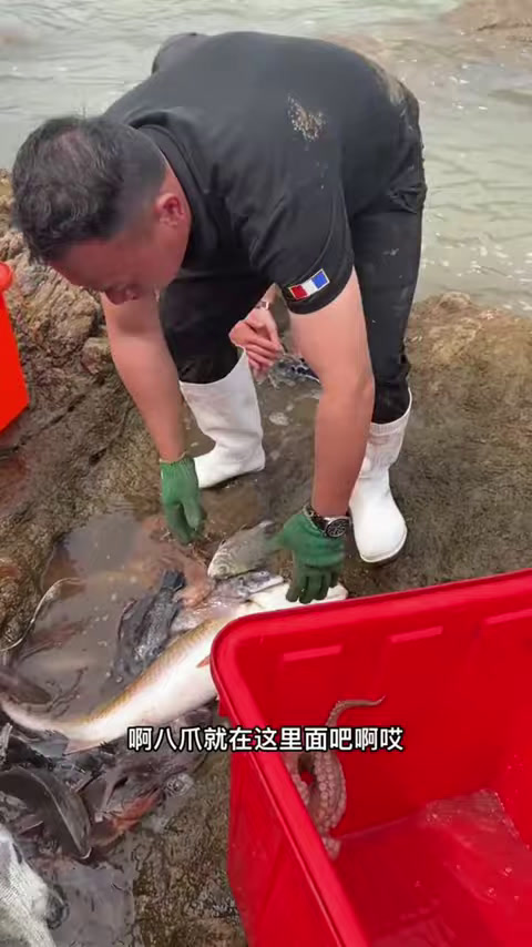 阿生赶海抓到巨物八爪鱼,正在吸食大鳗鱼,一条就爆框了!(1)