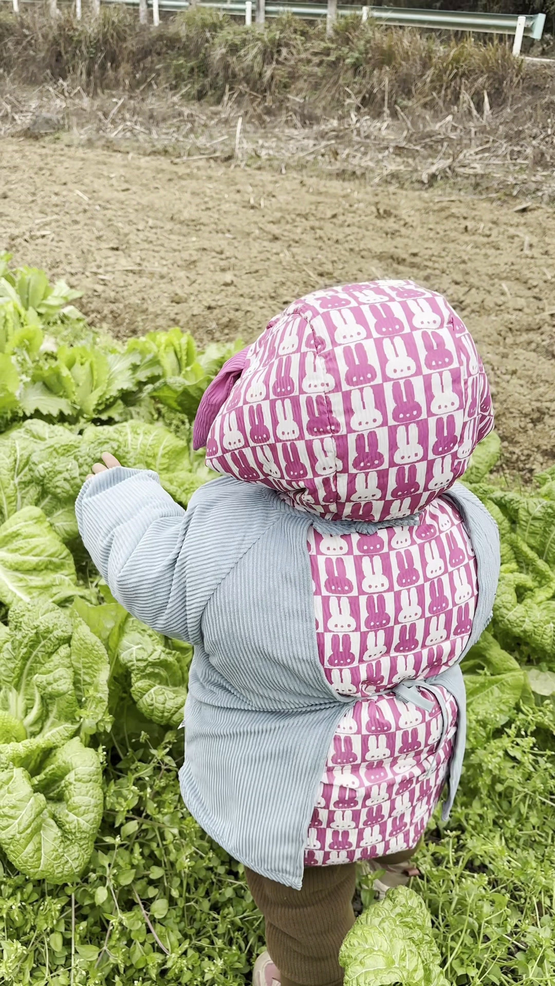 我放羊,珊珊跟妈妈劈点菜叶子回家腌酸菜