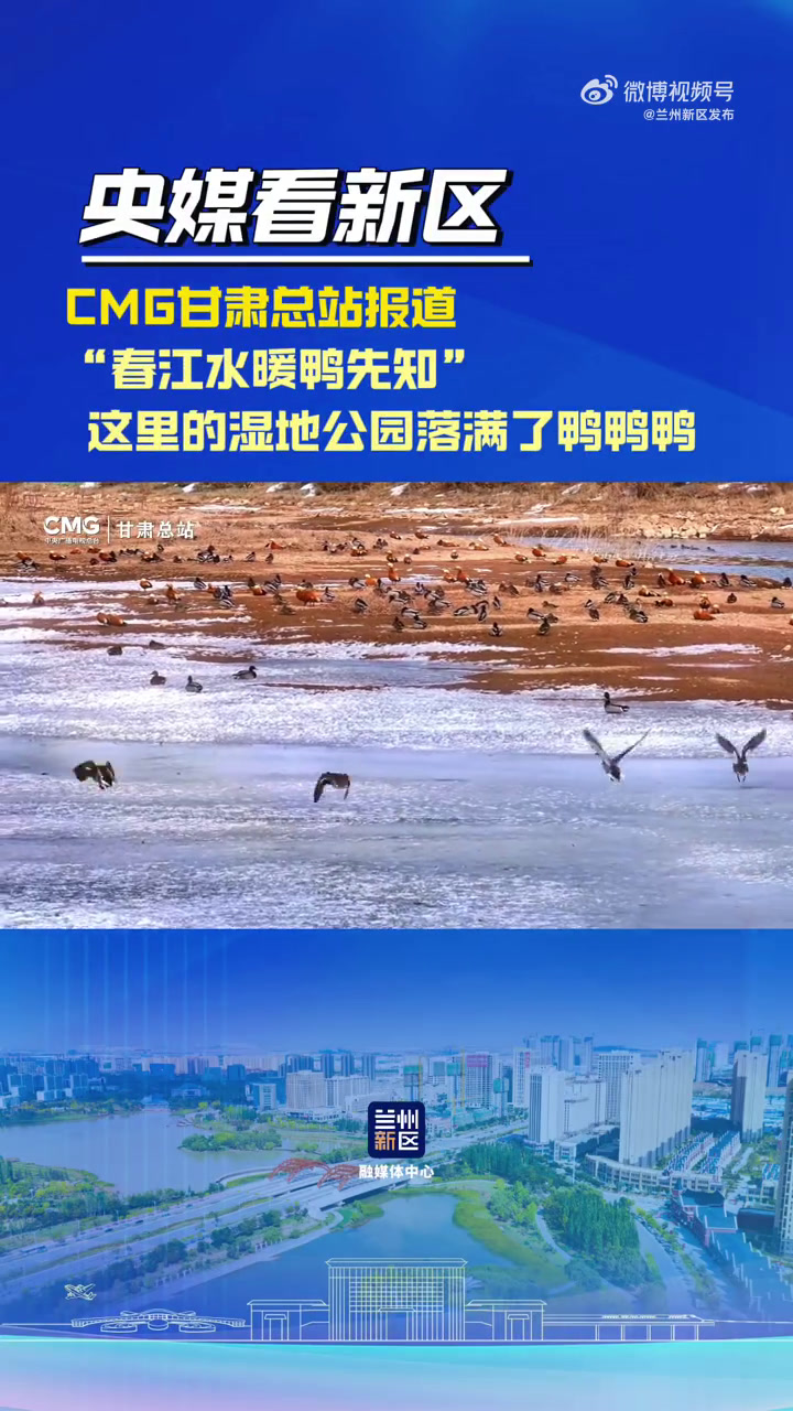 「CMG甘肃总站|“春江水暖鸭先知” 这里的湿地公园落满了鸭鸭鸭」元宵节前后,春天的气息悄