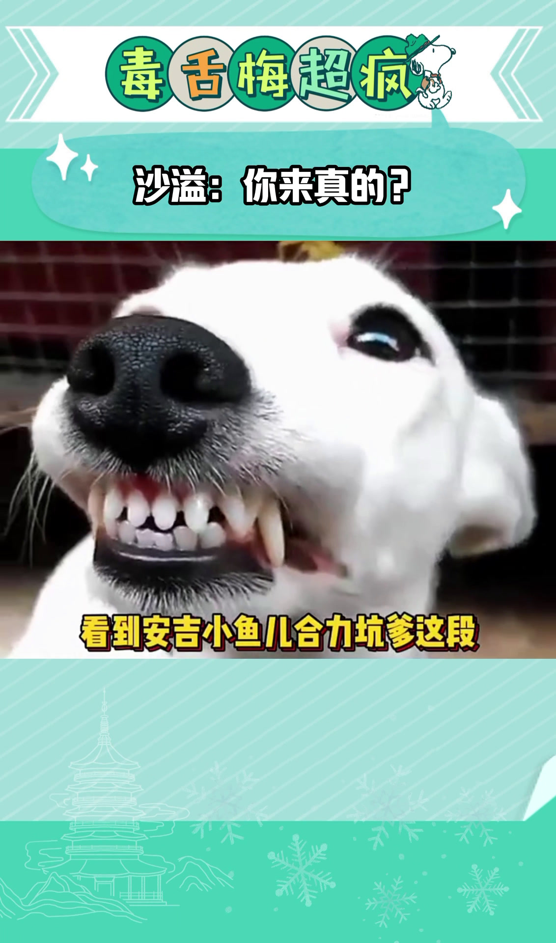 沙溢:你来真的?