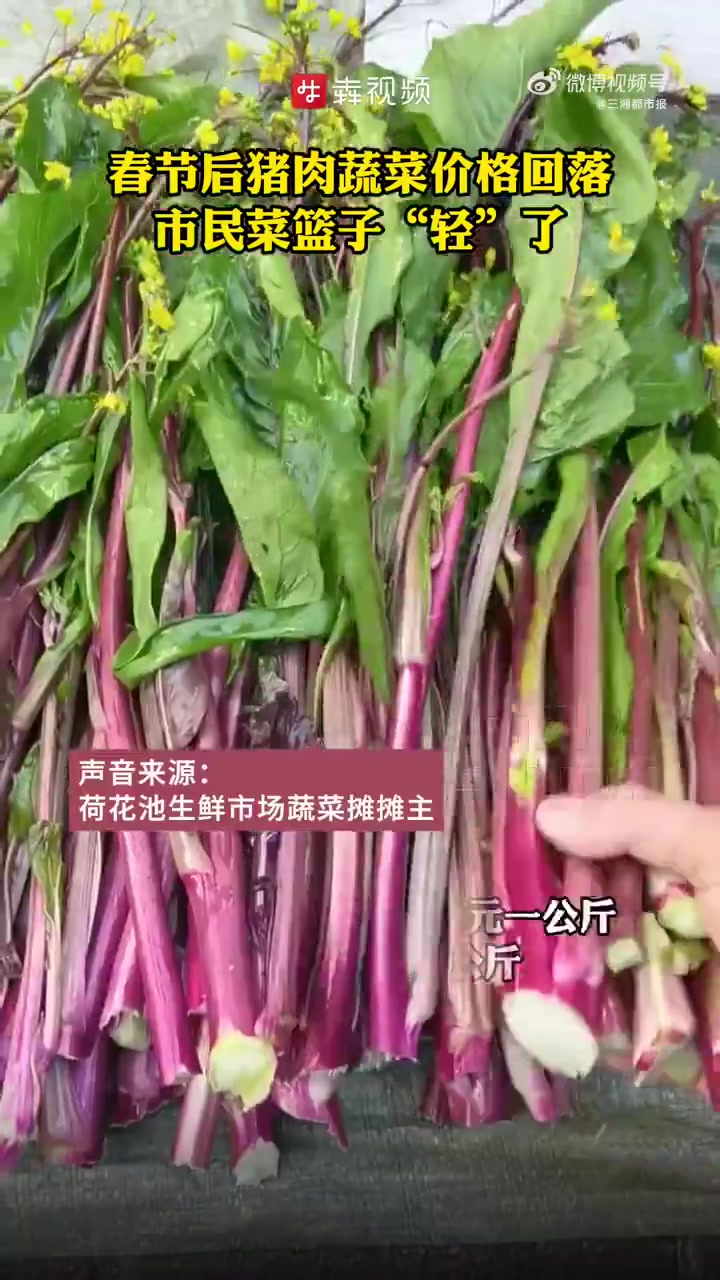 「节后猪肉蔬菜价回落市民菜篮子轻了」“现在买肉划算,普通五花肉每公斤比年前至少便宜了2元,