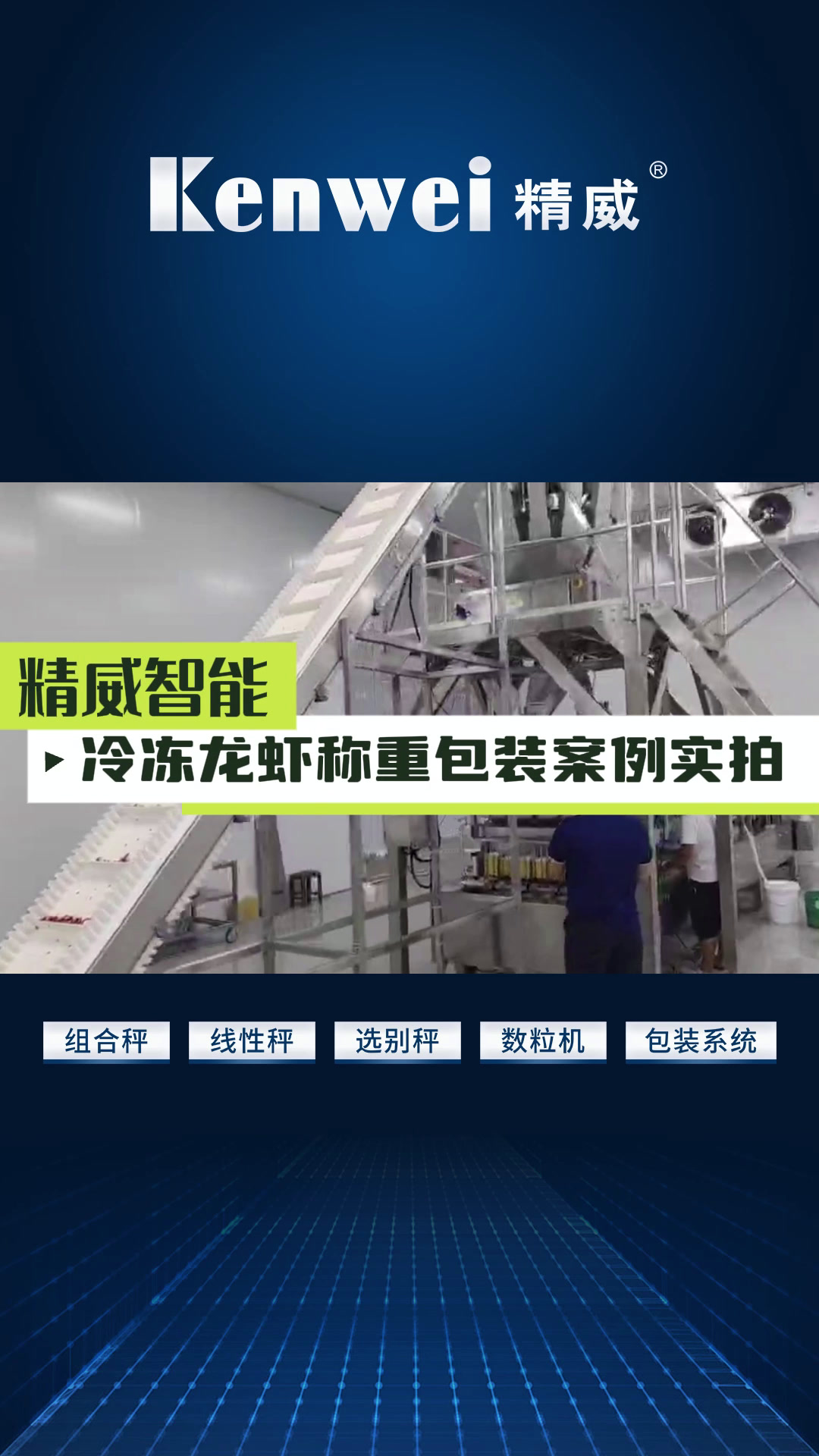 小龙虾称重包装实拍