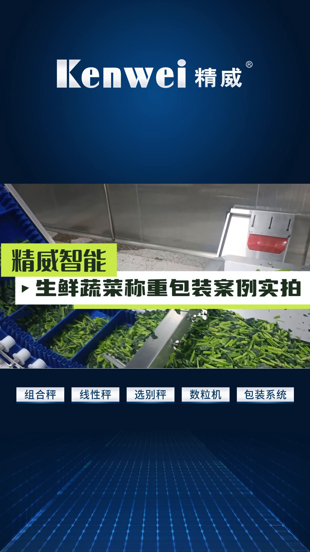 生鲜蔬菜称重包装实拍