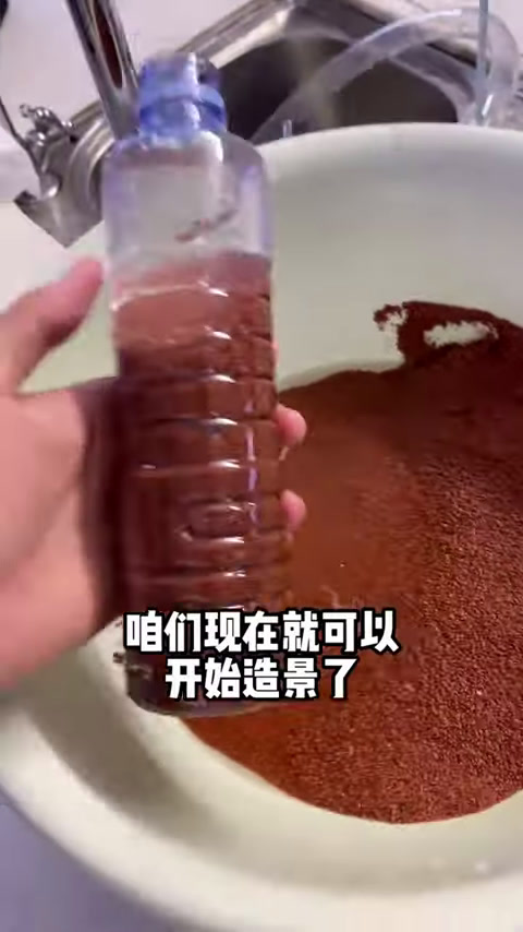 挑战养100种鱼之铅笔鱼,长大会变成亮蓝色,所有的等待都值了!