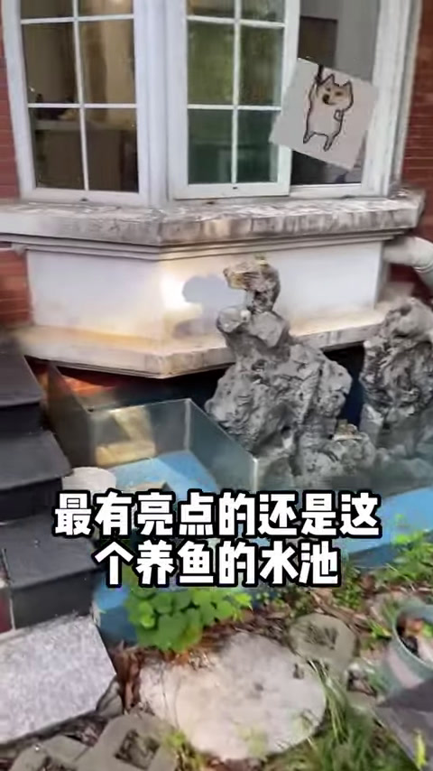 开箱原生鱼盲盒,竟然还有虾虎鱼,实在太漂亮了!