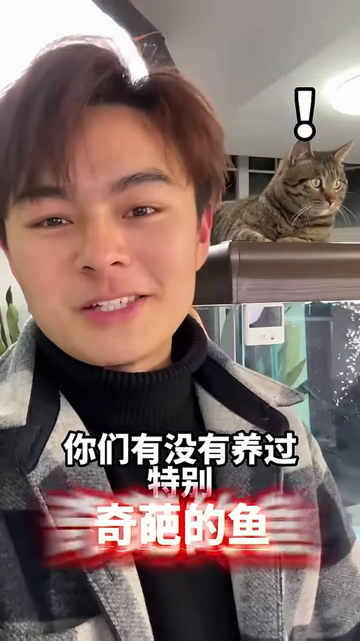 奇葩鱼种大嘴鲸,嘴比脸还大,一口能吞下整条鱼