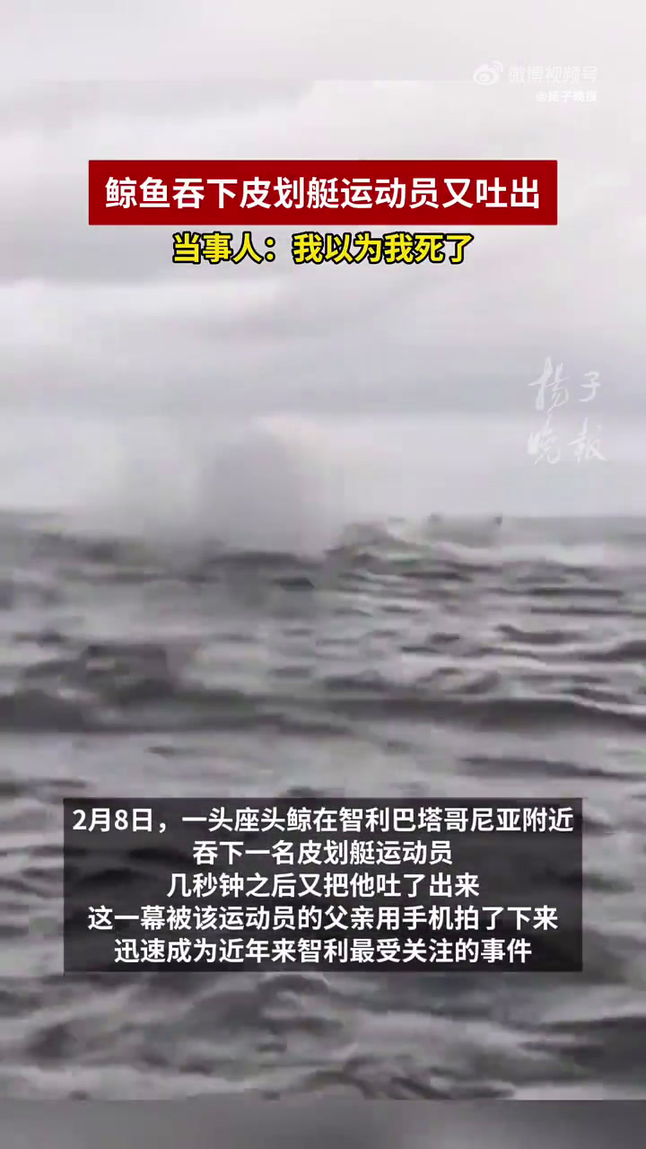 惊险一幕!鲸鱼吞下皮划艇运动员又吐出