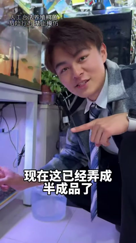 奇葩鱼种大嘴鲸,史上最小的鲸鱼,饭量却堪比饭桶?